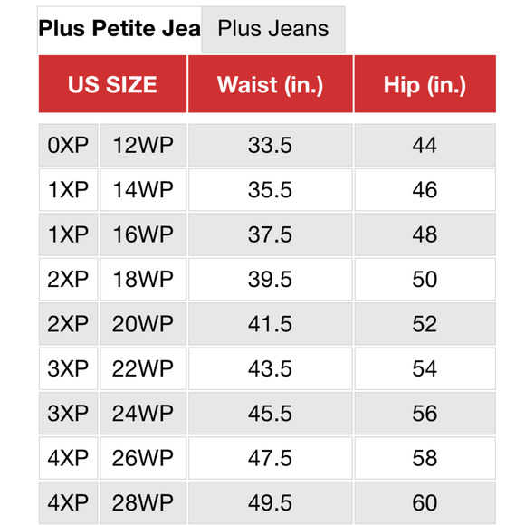 Charter Club Women Plus Bristol Skinny Leg Ankle Jeans Pinstripe Denim 26 W $74 - Picture 7 of 7